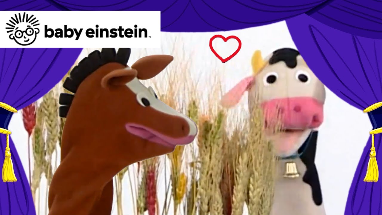 ویدیو All About Horses & Cows | New Classics | Baby Einstein | Toddlers ...