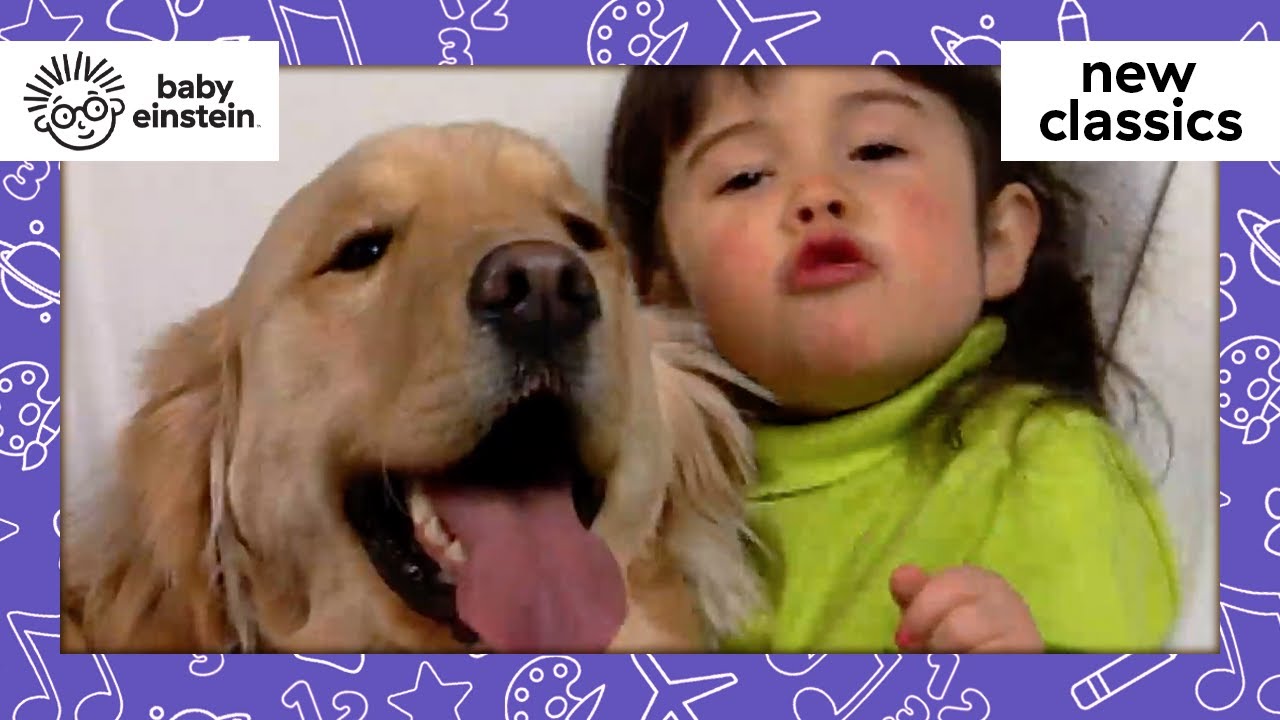 ویدیو All About Dogs | New Classics | Baby Einstein | Learning Show for ...