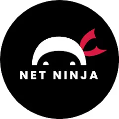 The Net Ninja نت نینجا