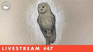 Drawing an Owl in Pen & Ink - LiveStream #47