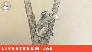 Drawing a Koala in Pen & Ink - LiveStream #68