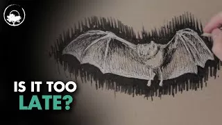 How Long Does It Take to Get Good at Drawing?