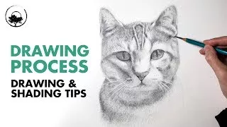 How to Draw a Cat Portrait - Drawing Tutorial