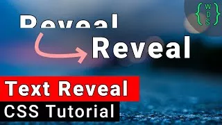 پوستر Animated Text Reveal Tutorial