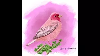 digital painting of a birdie #shorts