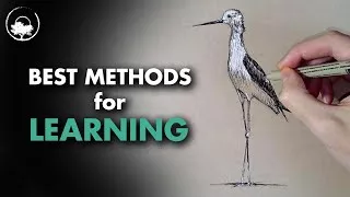 Books or Videos? - WHICH ONE for Learning to Draw